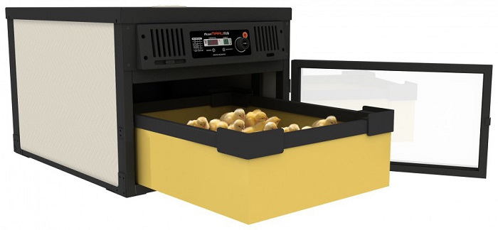 Инкубатор автоматический Rcom Maru 100 Hatcher/Brooder Deluxe