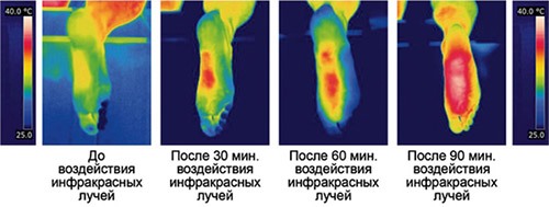 Уже через полчаса после включения стелек ступни ног заметно теплеют (нажмите на изображение, чтобы увеличить)