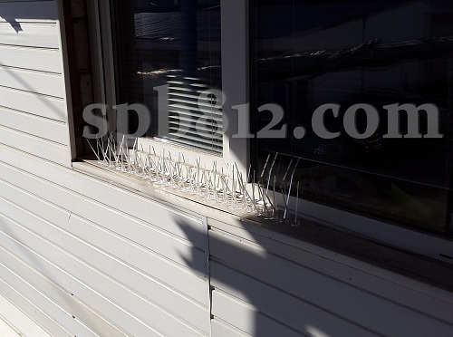 Противоприсадные шипы "Барьер", установленные на окне (нажмите на фото для увеличения)