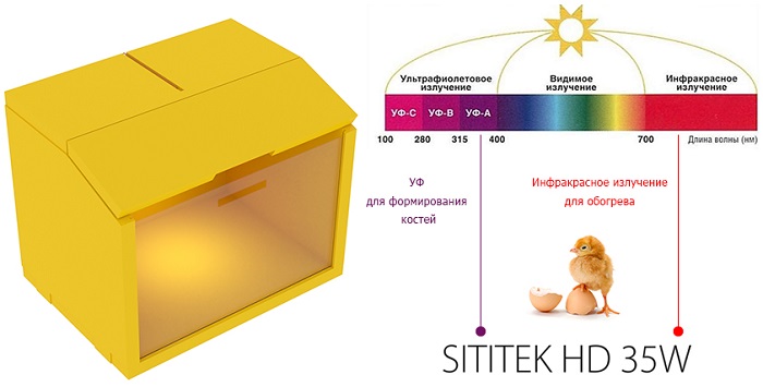 Автоматический брудер для цыплят "SITITEK HD 35W"