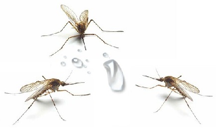 Аттрактант "SITITEK Octenol"