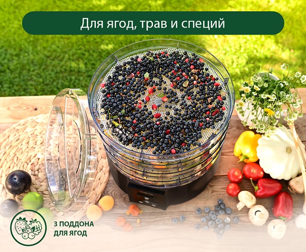 Сушилка для фруктов и овощей MARTA Альфа MT-FD1886G 13 поддонов черный жемчуг
