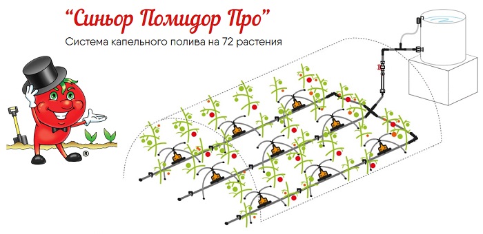 Система капельного автополива Синьор Помидор ПРО с шаровым таймером (с жк-дисплеем на 8 программ, на 72 растения)