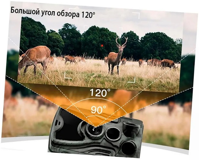 Фотоловушка Suntek Филин HC-801G LTE