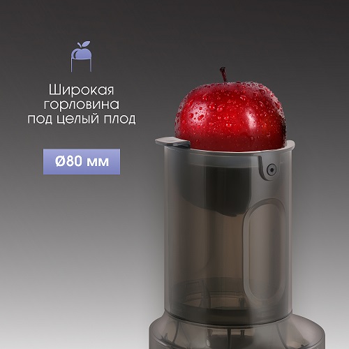 Соковыжималка Zigmund & Shtain ESJ-771 шнековая